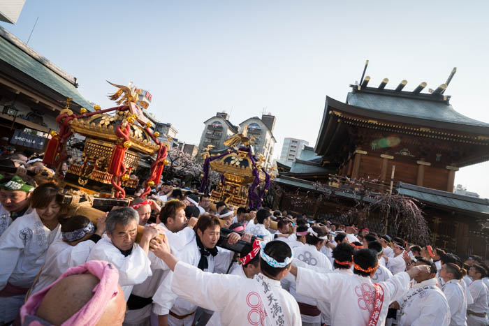 湯島天神「梅まつり」